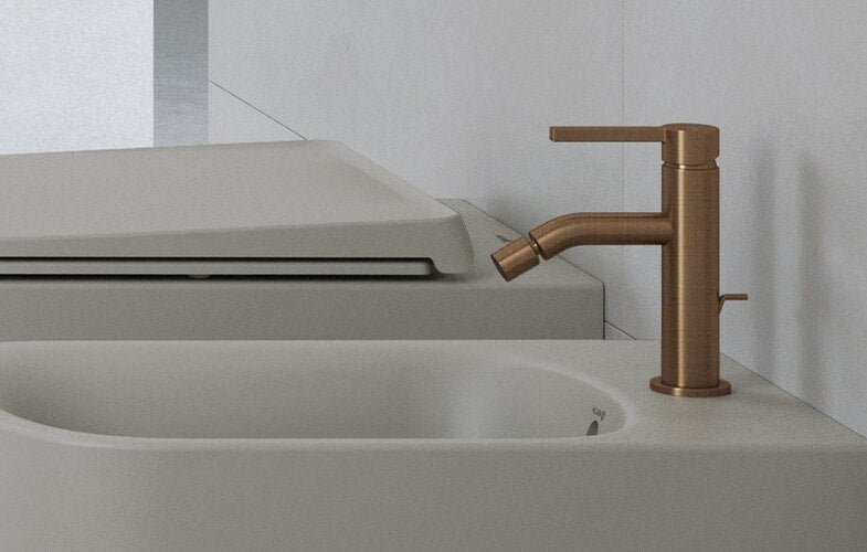 Bidet Mixer