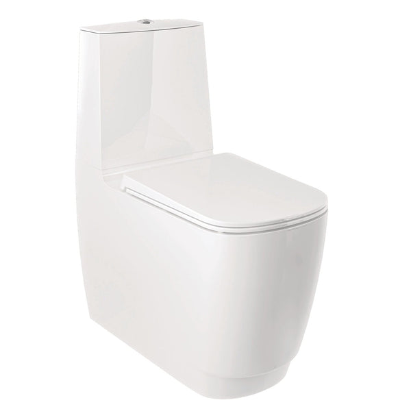 Floor Mounted WC